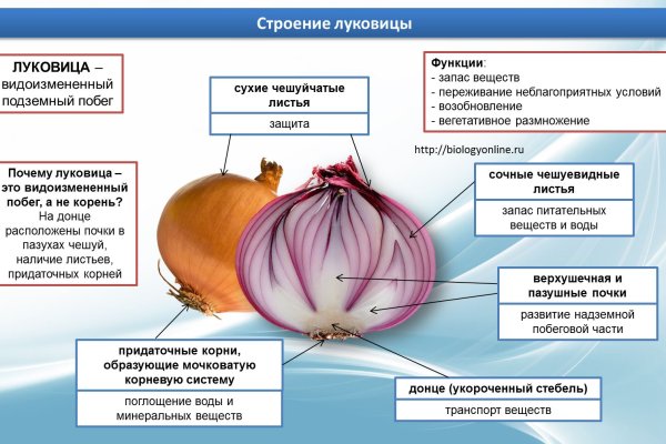 Кракен найти сайт