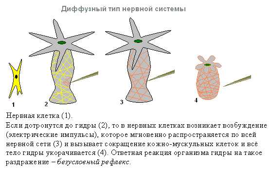 Kraken актуальный сайт